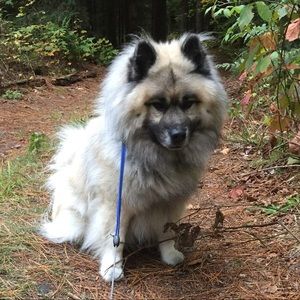 Meet your Posher, Bluma